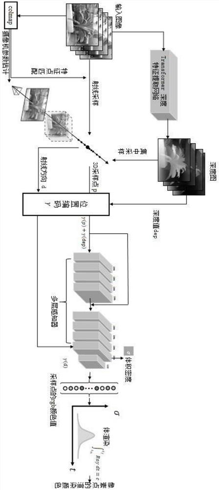 Method for synthesizing virtual viewpoint image based on implicit neural scene representation