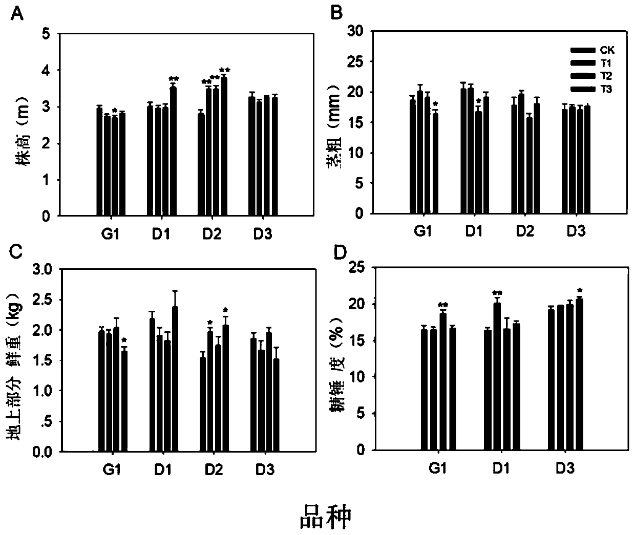 Method for safely utilizing heavy metal polluted cultivated land based on combination of charcoal in-situ passivation and sweet sorghum planting