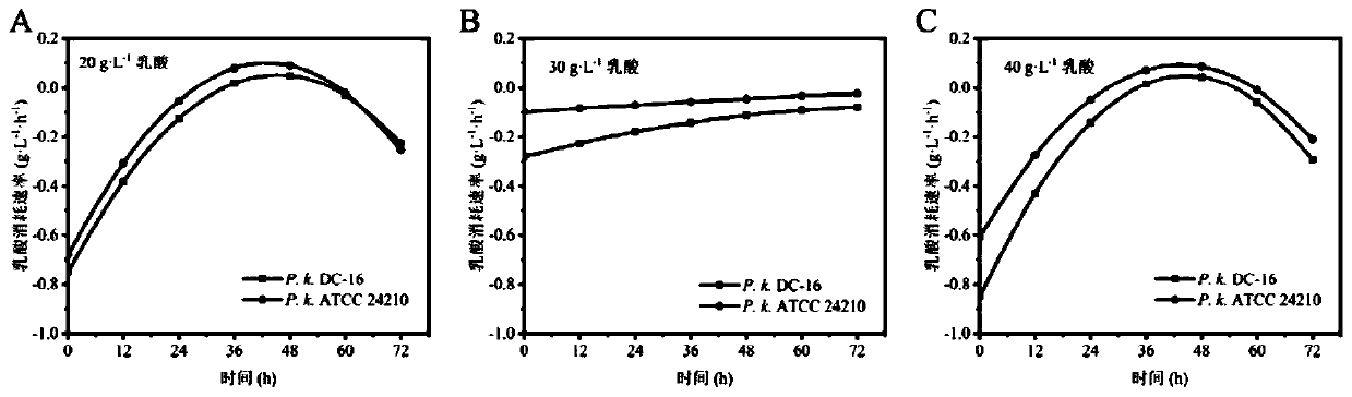 Microbial complex microbial agent for degrading lactic acid