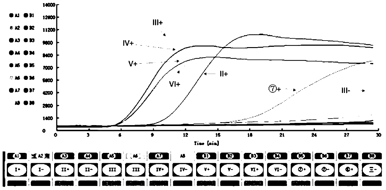 Lamp primer set for detecting phytoplasma and its kit and application