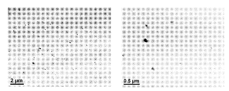 Special master batch for PC (Polycarbonate) sunlight board and application thereof