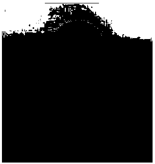 Heteropoly acid modified carbon nano tube and/or graphene reinforced lead-based composite anode preparation method