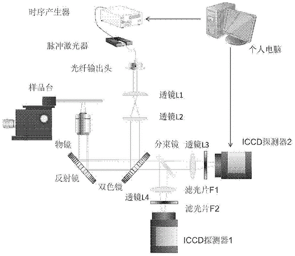 Dual-channel-based multispectral fluorescence imaging microscopy system and method