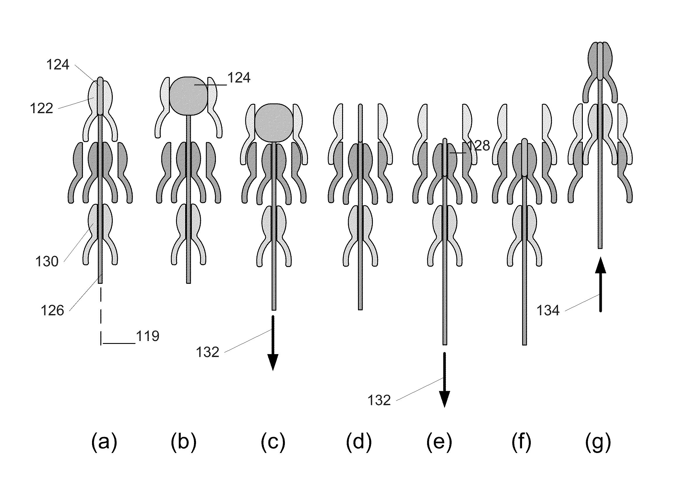 Steerable extendable devices