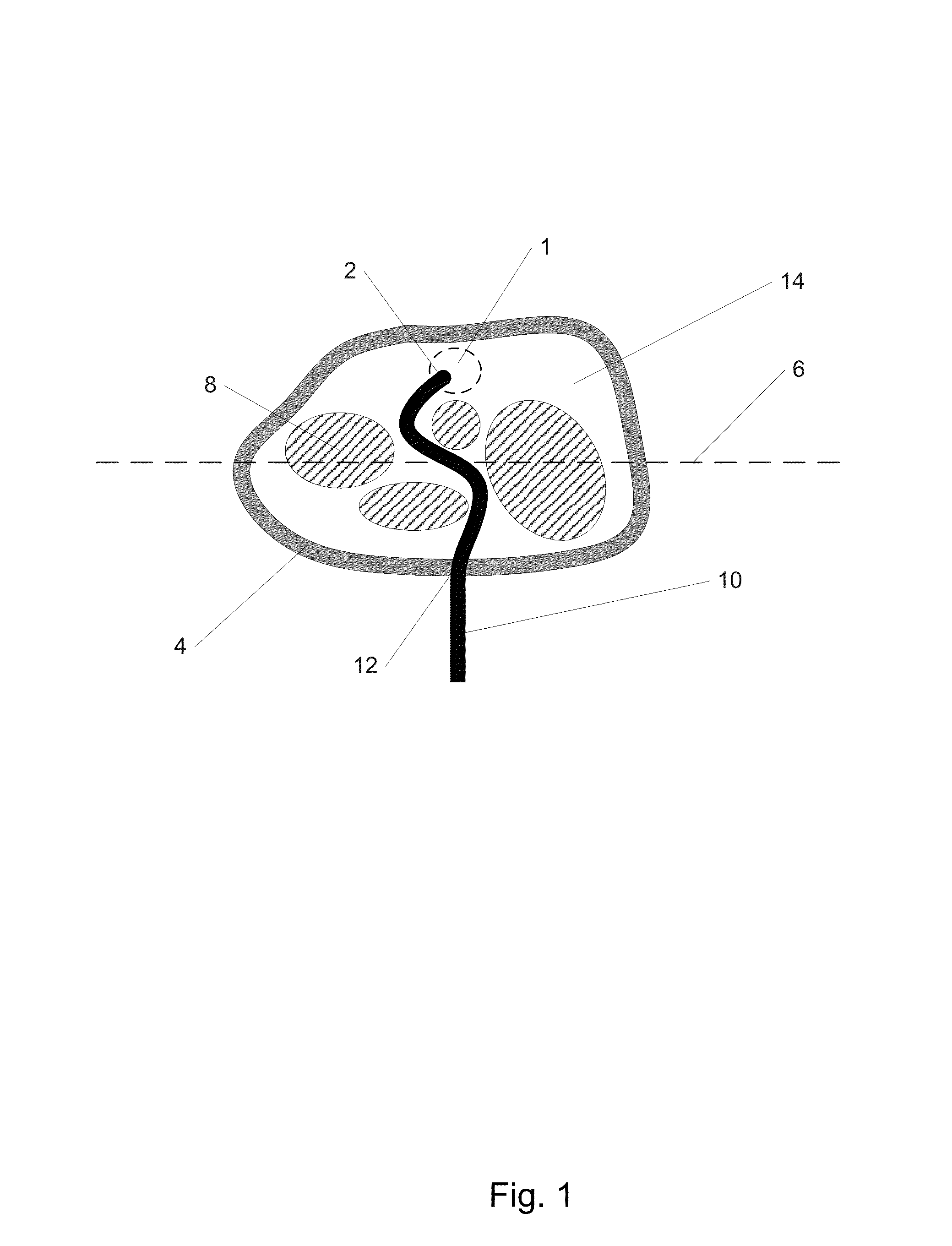 Steerable extendable devices