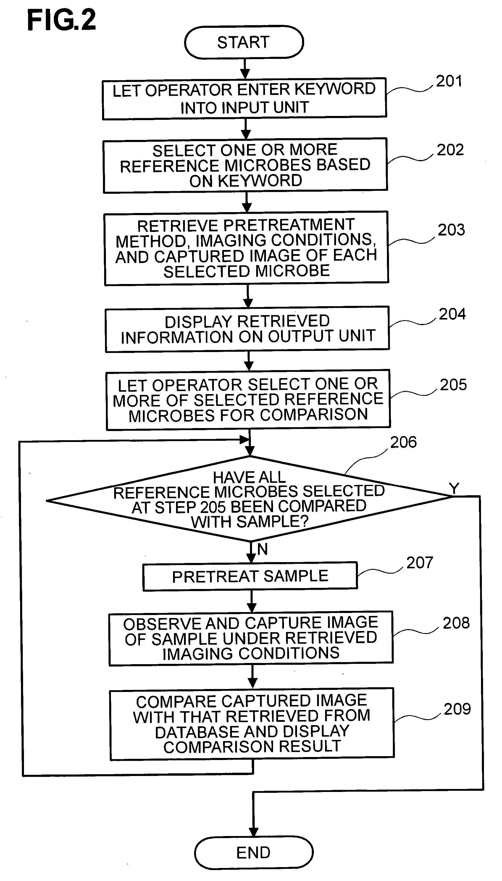 Transmission electron microscope system and method of inspecting a specimen using the same