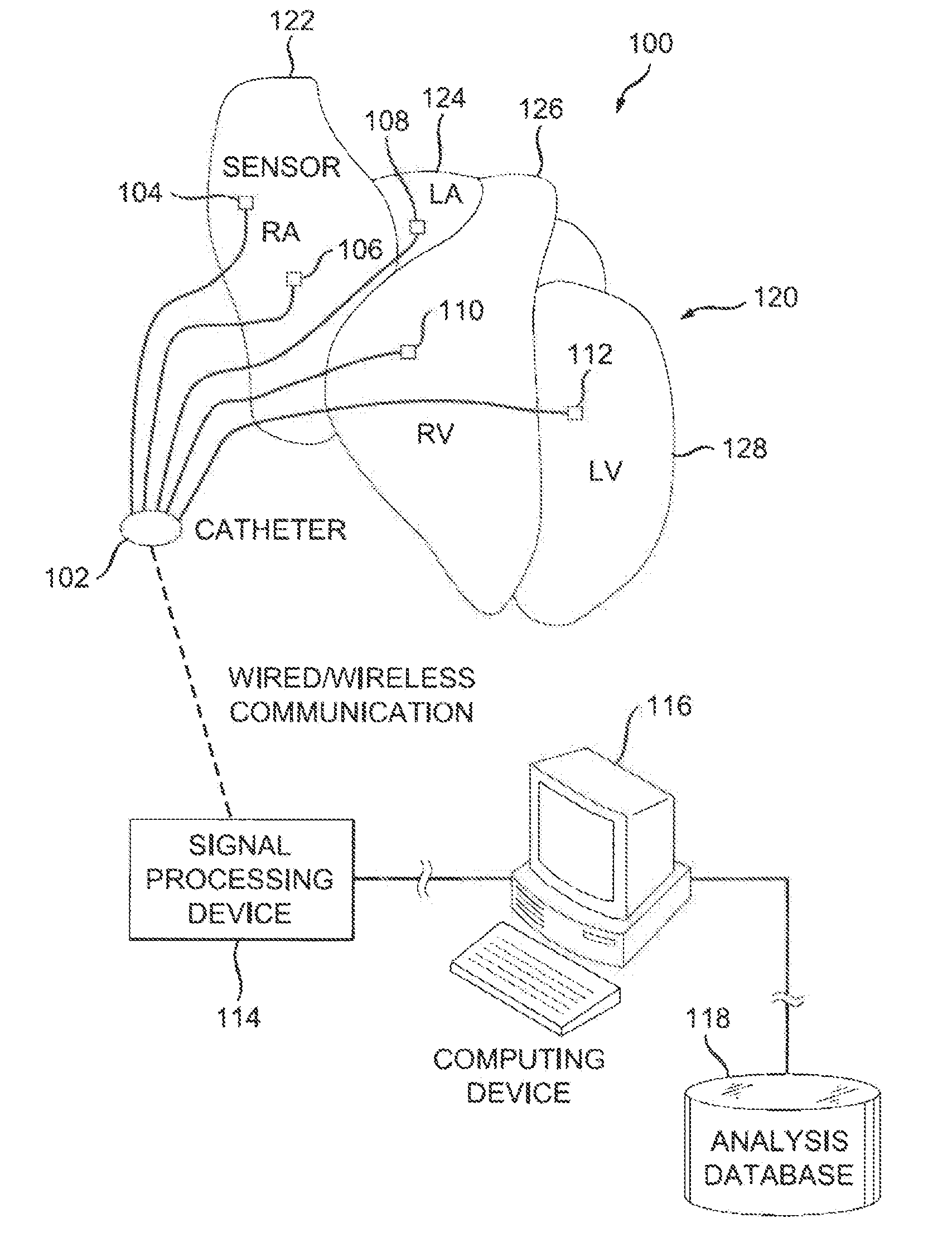 System and method of identifying sources for biological rhythms