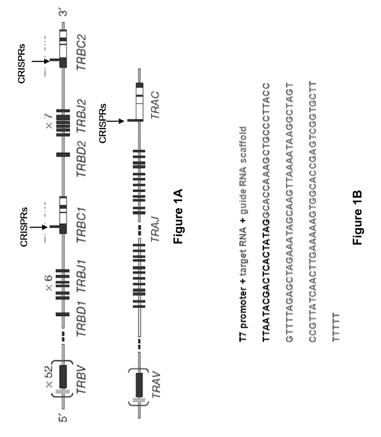 Altering Gene Expression in Modified T Cells and Uses Thereof