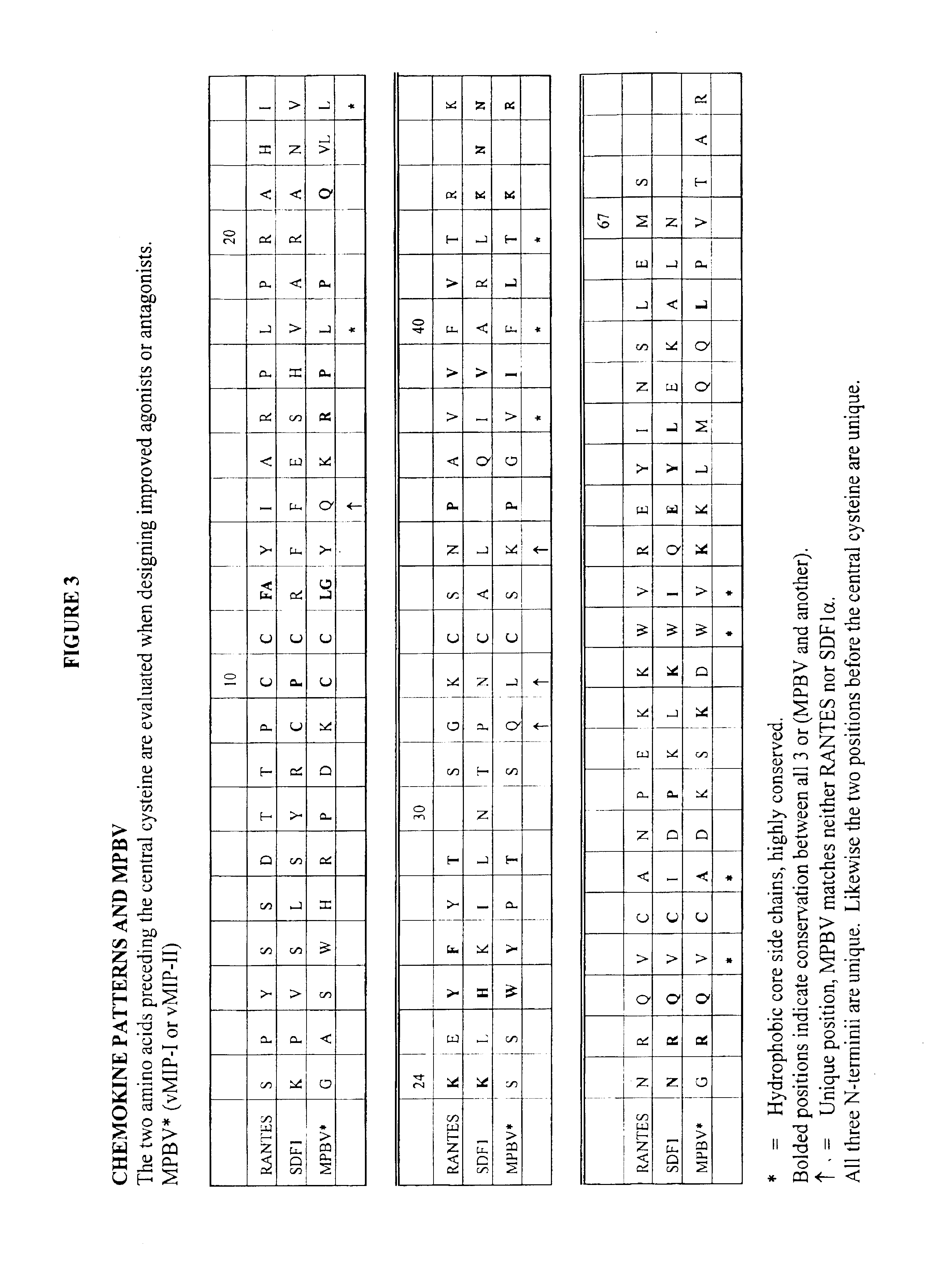 Modular protein libraries and methods of preparation