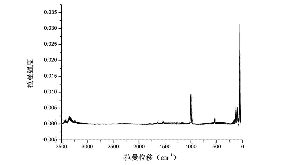 Urea isotopic abundance rapid detection method based on Raman spectrum