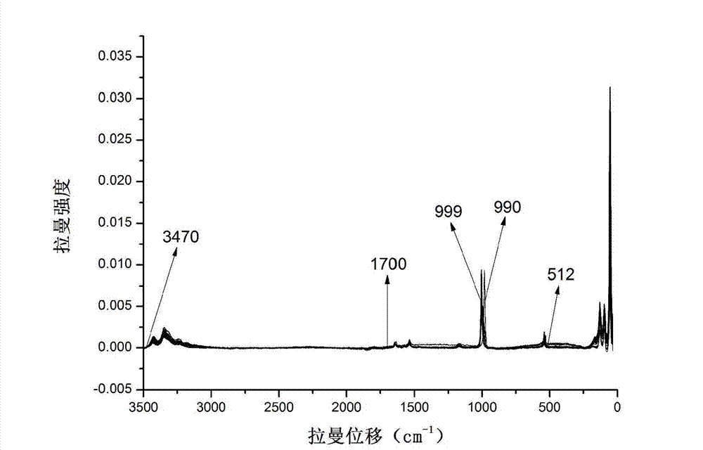 Urea isotopic abundance rapid detection method based on Raman spectrum