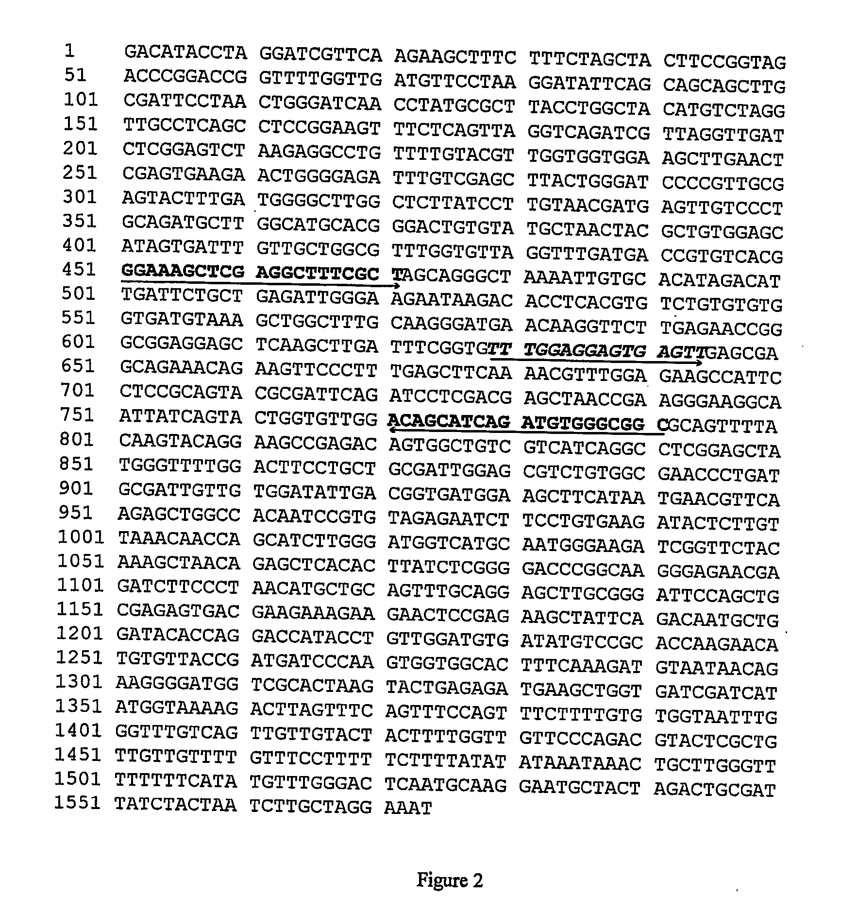 Methods for relatvie quantification of specific nucleic acid sequences