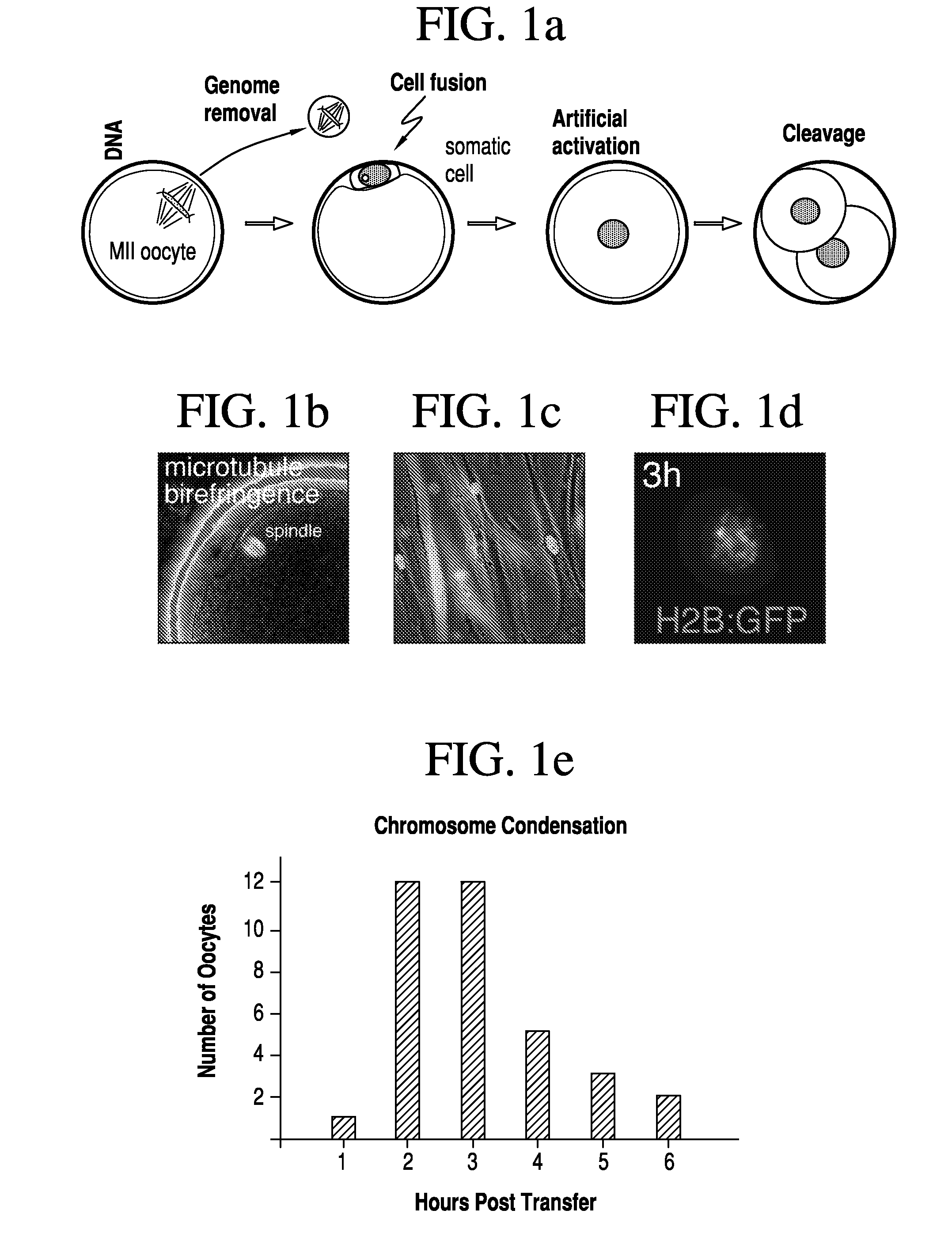 Method for producing pluripotent stem cells