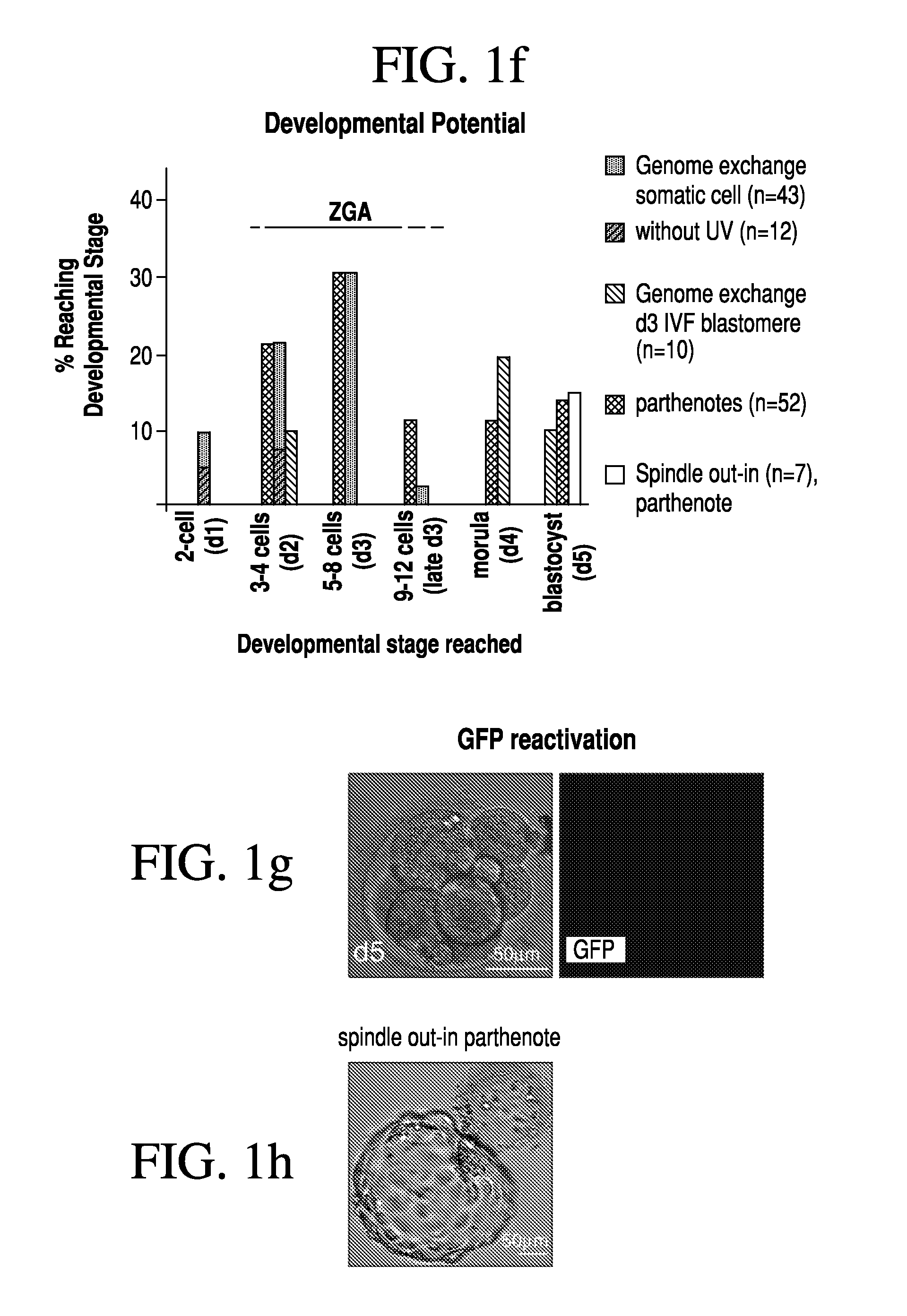 Method for producing pluripotent stem cells
