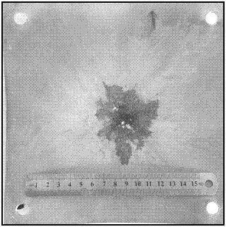 An anti-heat insulation/protection integrated space debris protection structure and its application