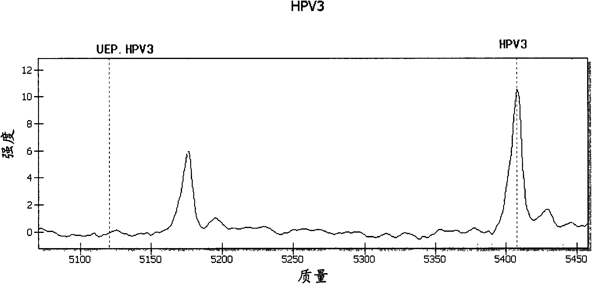 Primers and method for detecting and typing human papilloma viruses in esophagi