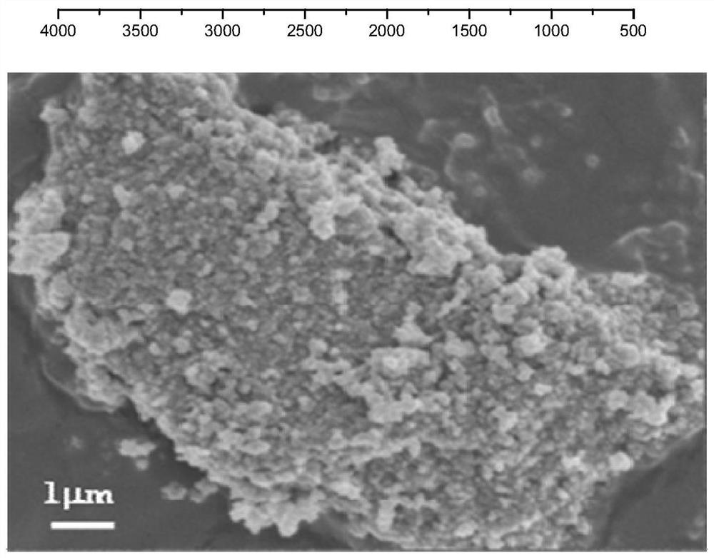 A carbon nanosheet loaded tio  <sub>2</sub> Molecularly imprinted material and its preparation method and application