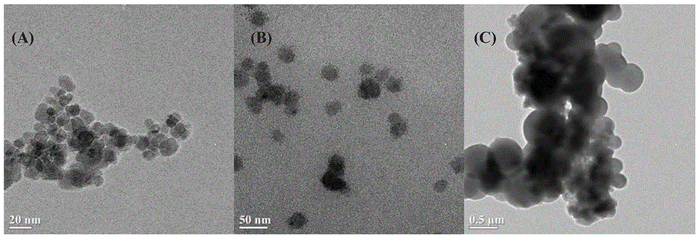 Magnetic polymerization ionic liquid for detecting microcystic toxins and preparation method and application of magnetic polymerization ionic liquid