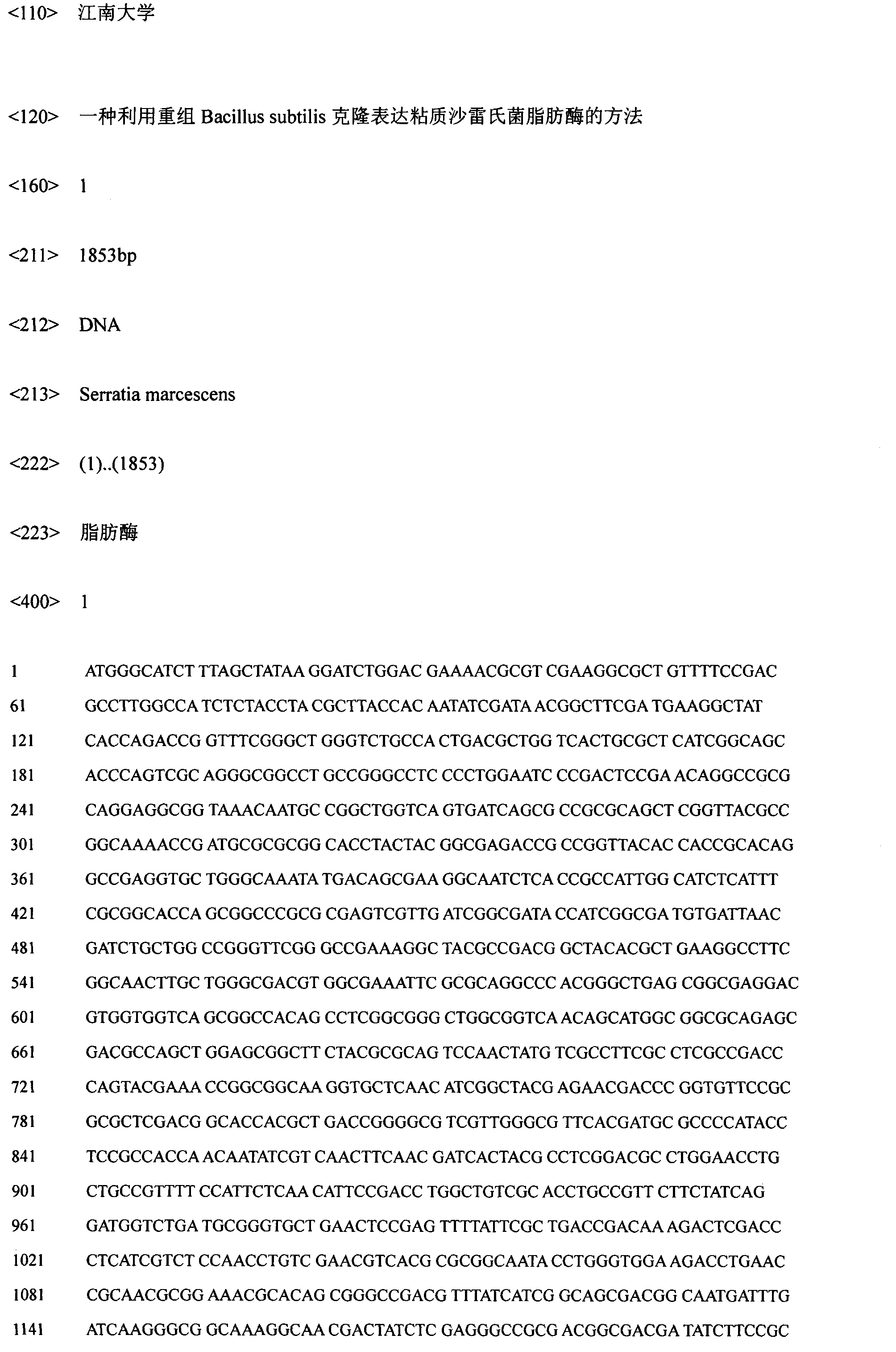 Method for cloning and expressing Serratia marcescens lipase by utilizing recombinant Bacillus subtilis