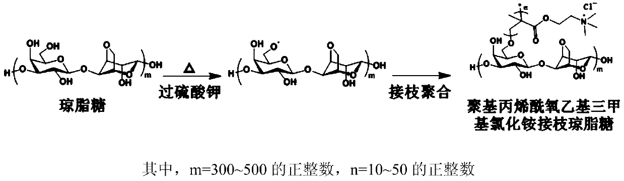 A kind of agarose antibacterial dressing based on macromolecule quaternary ammonium salt grafting and preparation method thereof