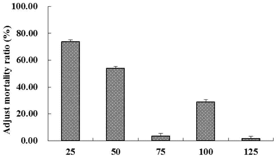 Bacillus mycoides r2 strain and its application in the control of plant root-knot nematode