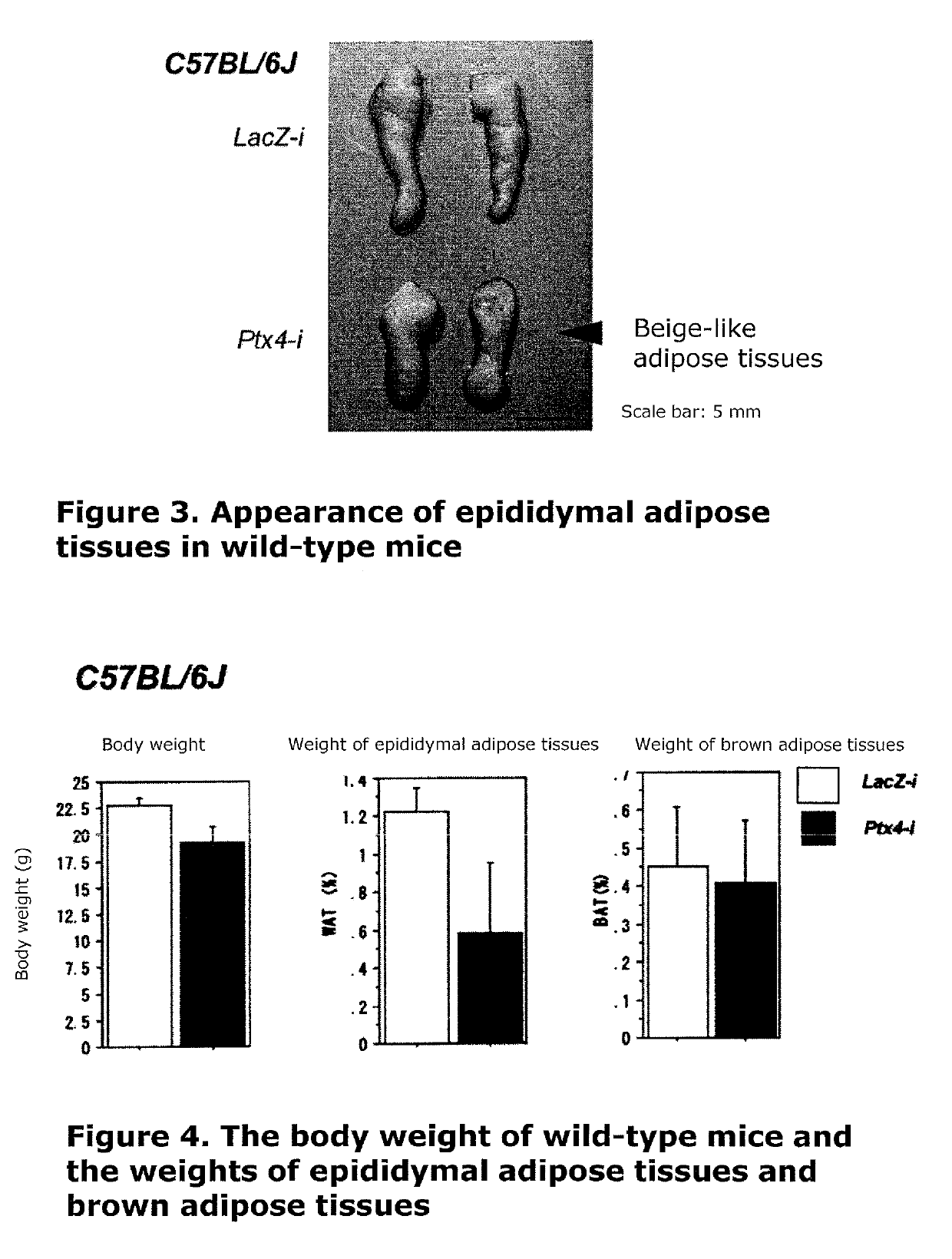 Obesity-related disease therapeutic agent by hepatic secretory metabolic regulator inhibitory action