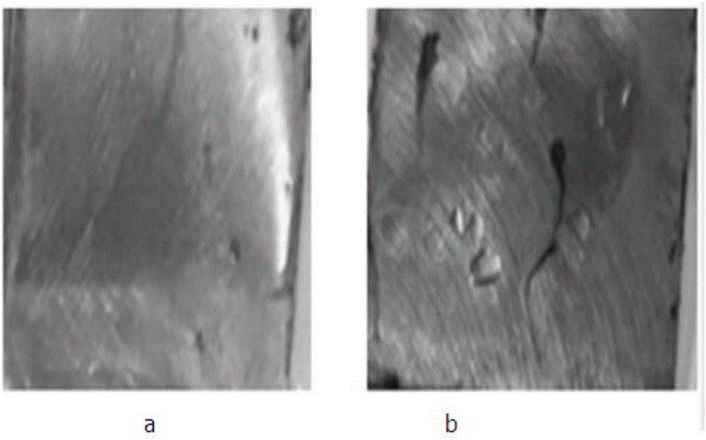 Chromium-free passivation solution and application thereof