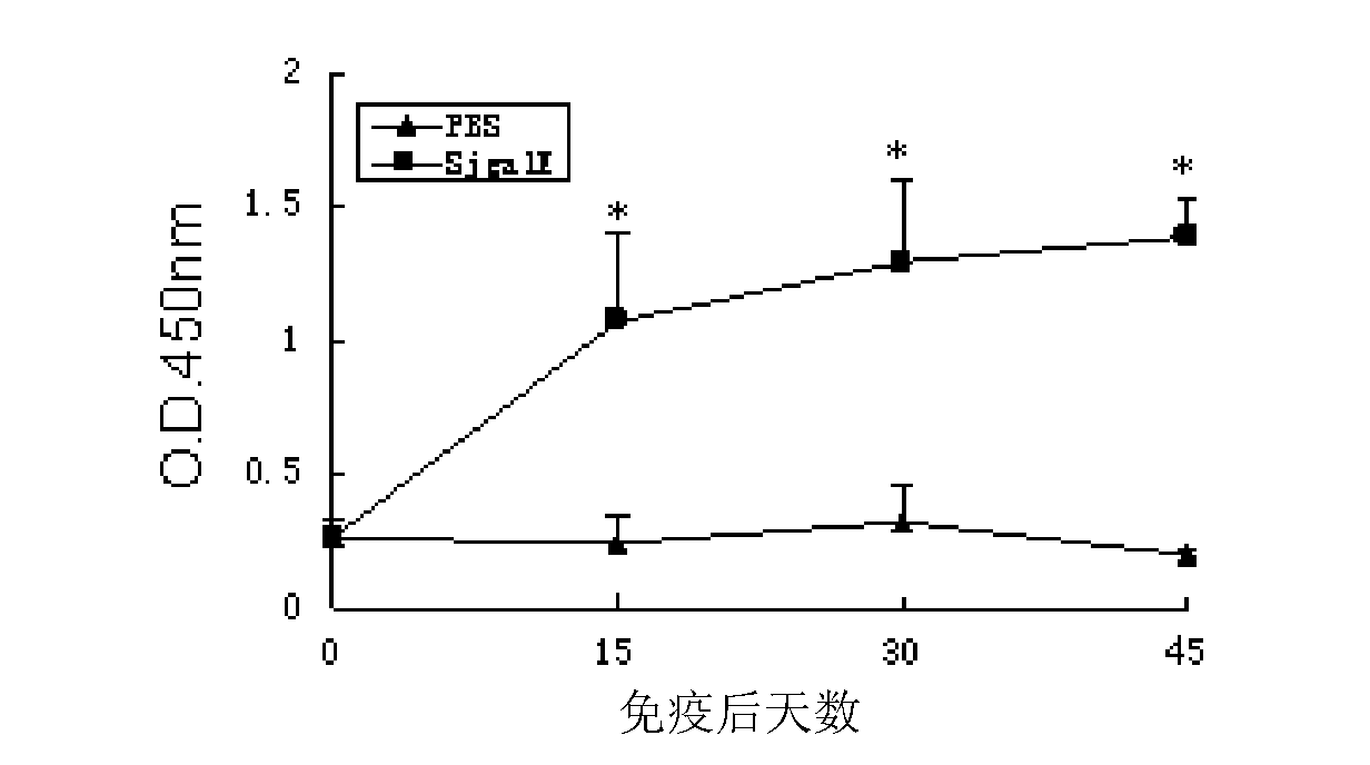 Japanese blood fluke protein and application thereof