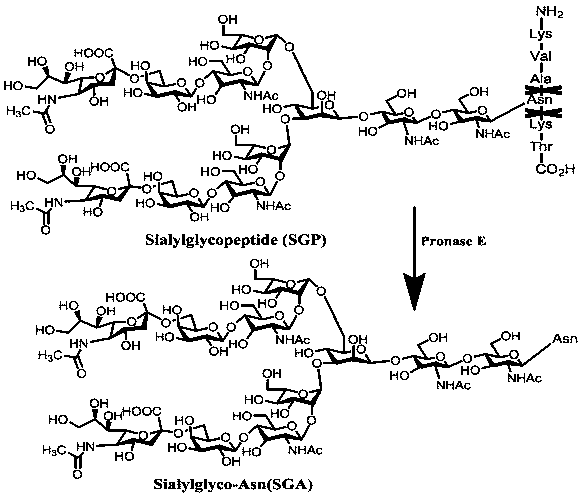 Sugar chain relative quantitative isotope labeling mass spectrum derivatization reagent