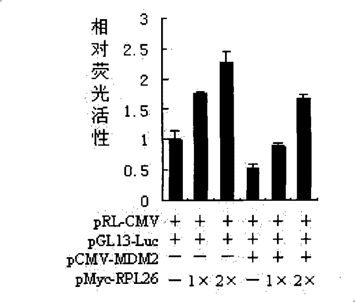 Drug for inhibiting proliferation of tumor cells and application thereof