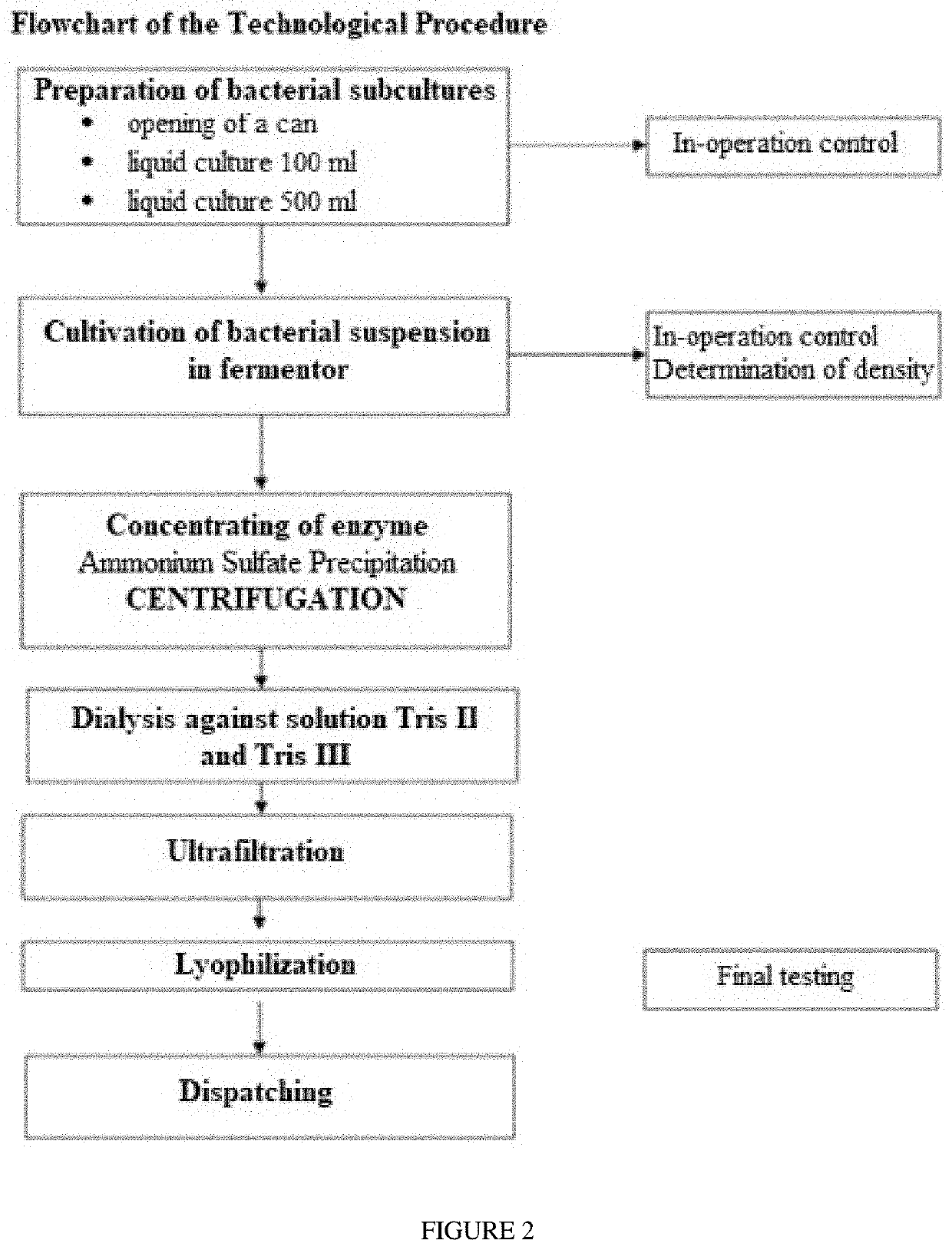 Bacterial strain clostridium histolyticum and its use