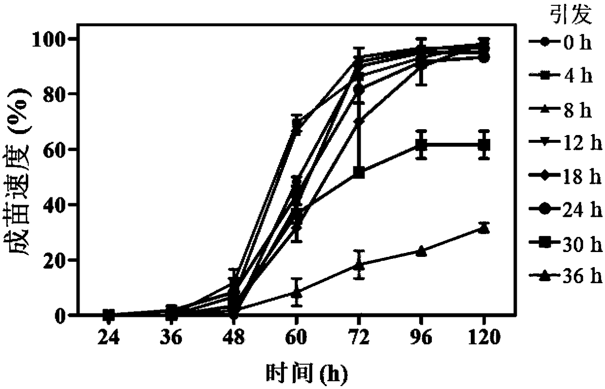 Rice seed priming method