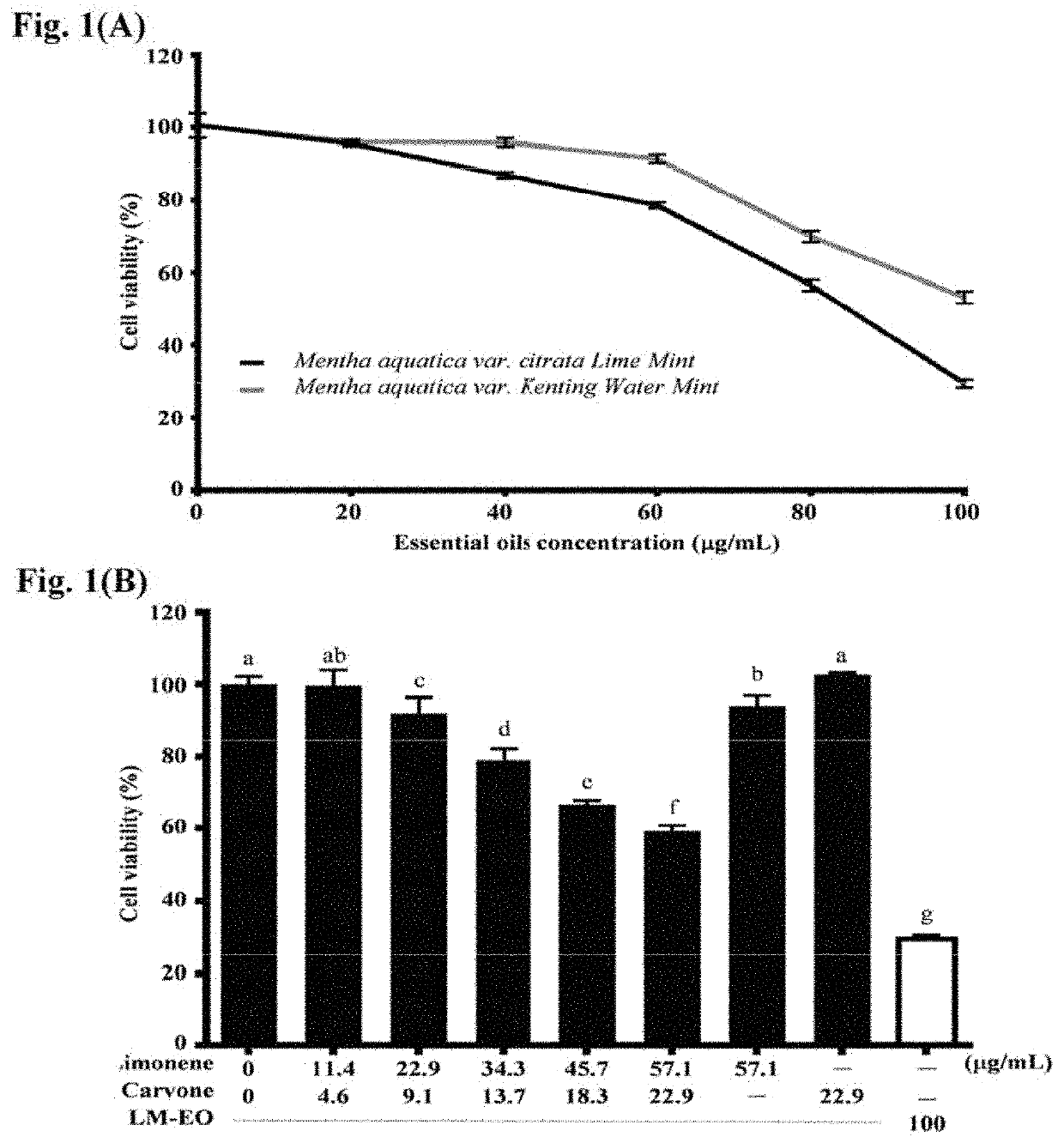 Mint essential oils inhibit hras-q61l mutant keratinocyte activity and prevent skin carcinogenesis