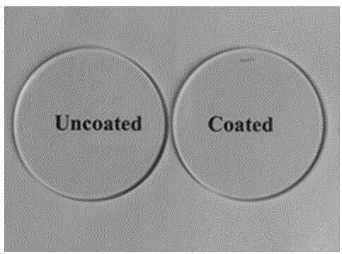 Preparation method for optical table for observing osteocyte