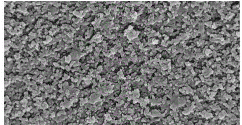 Preparation method for optical table for observing osteocyte