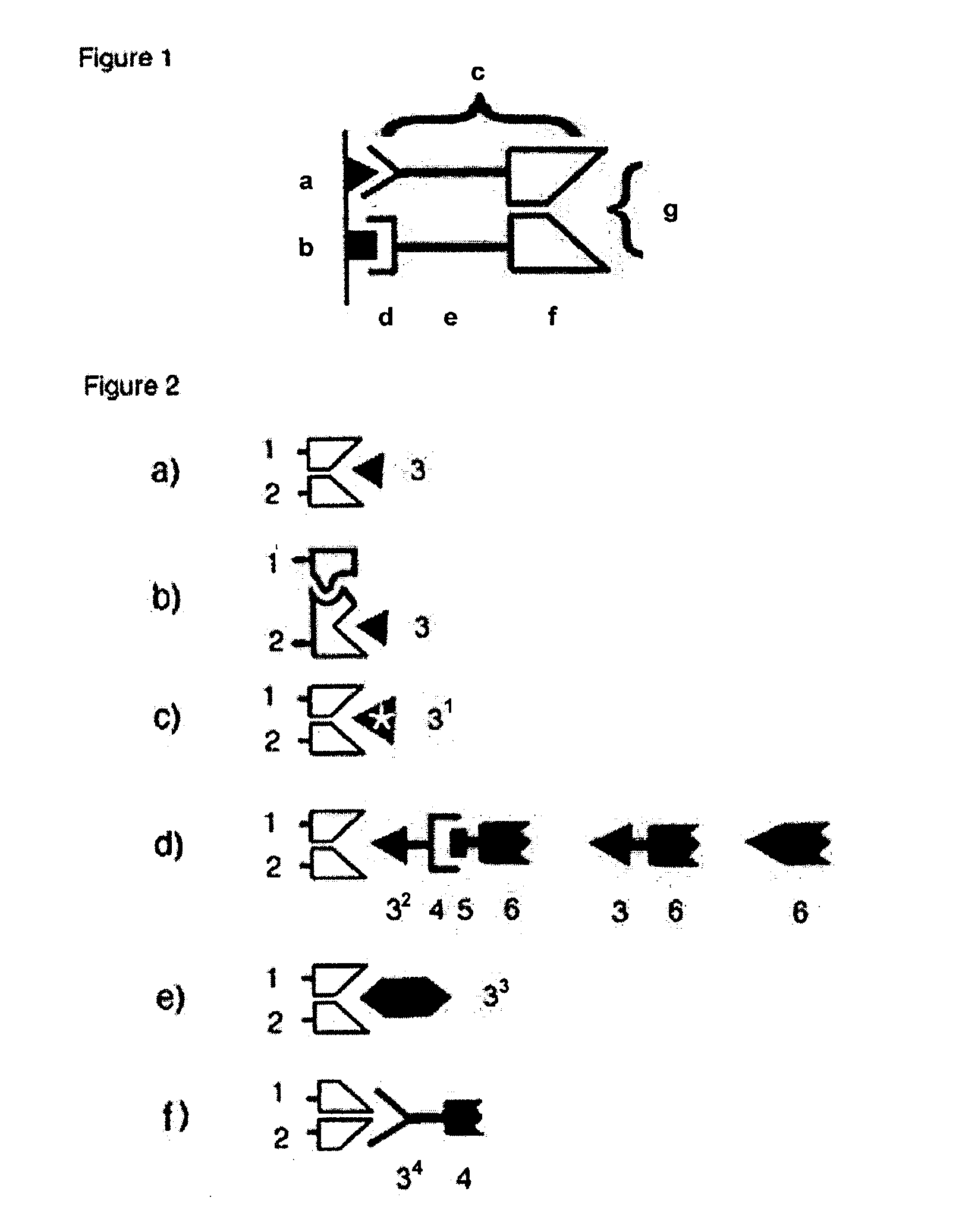 Binary or polynary targeting and uses thereof