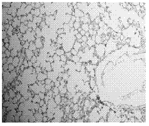 Application of sinomenine or pharmaceutically acceptable salt thereof as medicament for preventing and treating pulmonary interstitial fibrosis