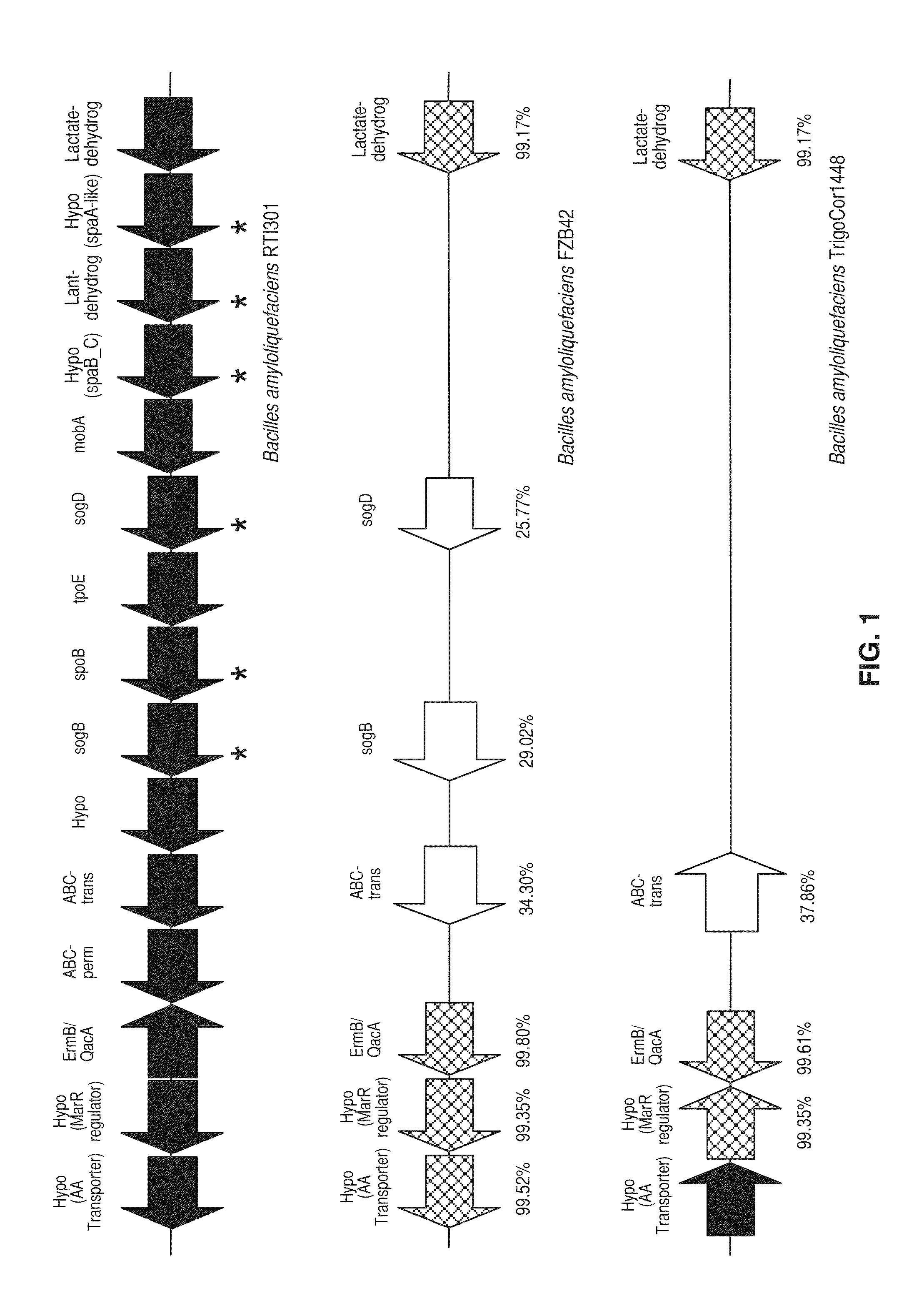 Microbial compositions and methods of use for benefiting plant growth and treating plant disease