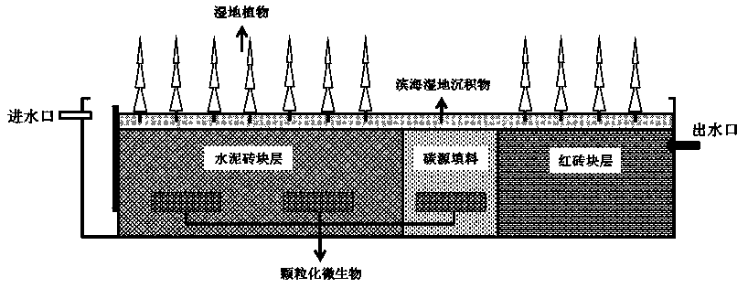 A Constructed Wetland System for Treating Mariculture Sewage