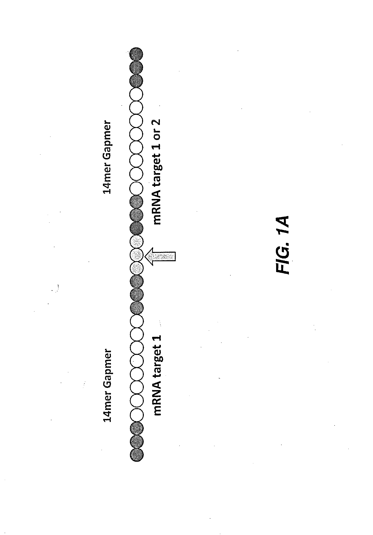 Methods of delivering multiple targeting oligonucleotides to a cell using cleavable linkers