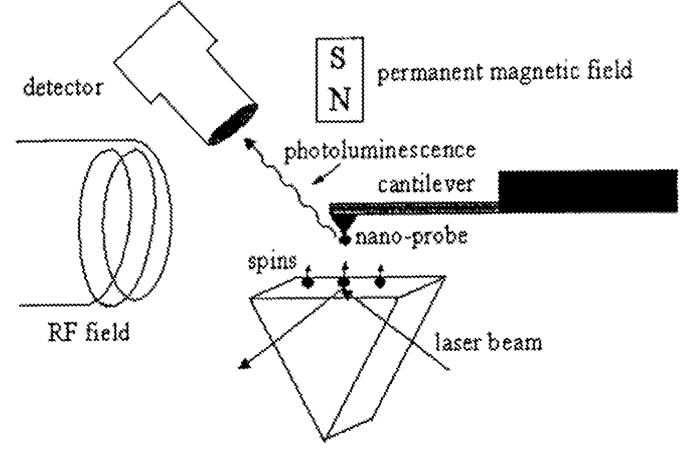Spin microscope based on optically detected magnetic resonance