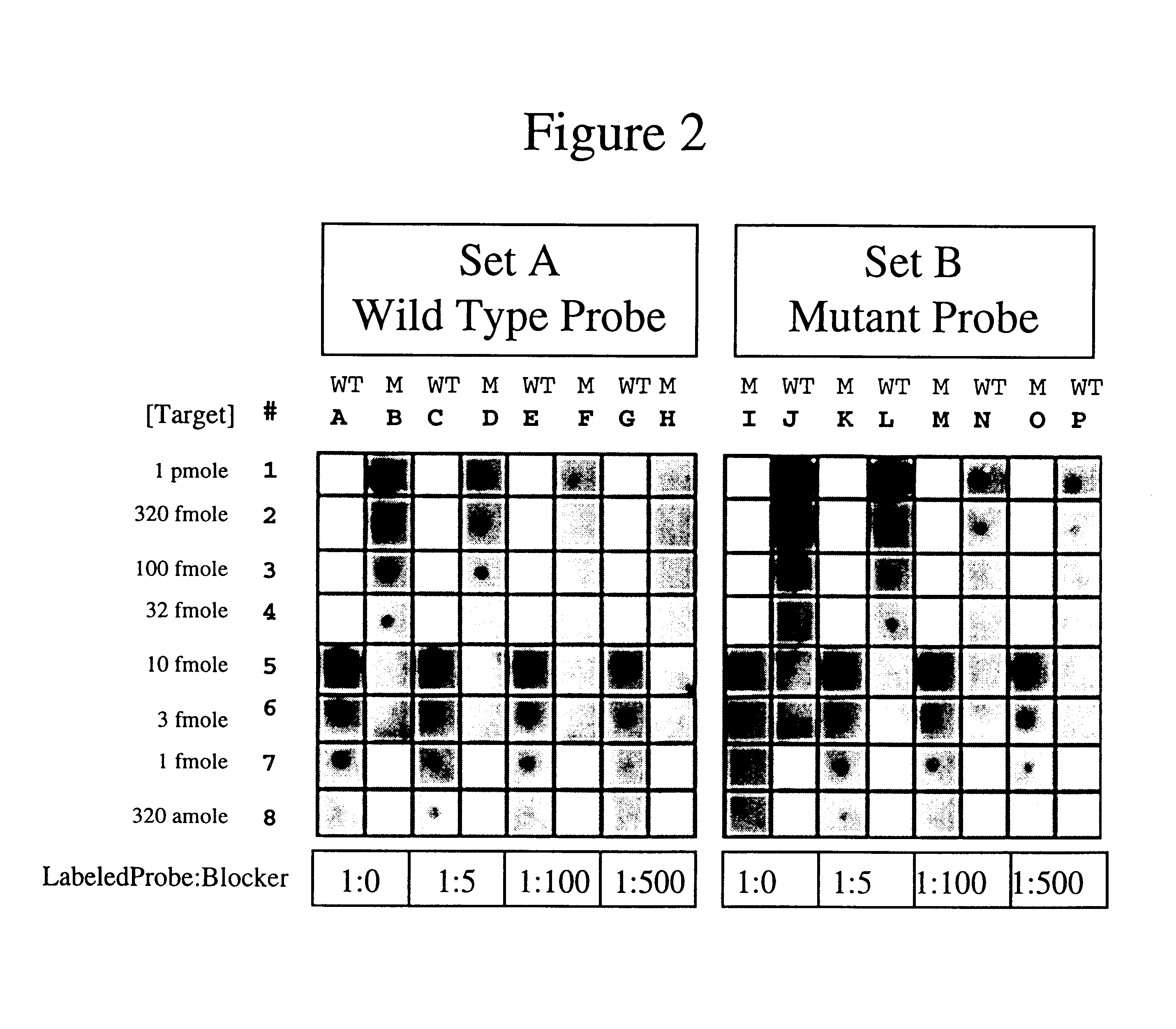 Methods, kits and compositions for suppressing the binding of detectable probes to non-target sequences in hybridization assays