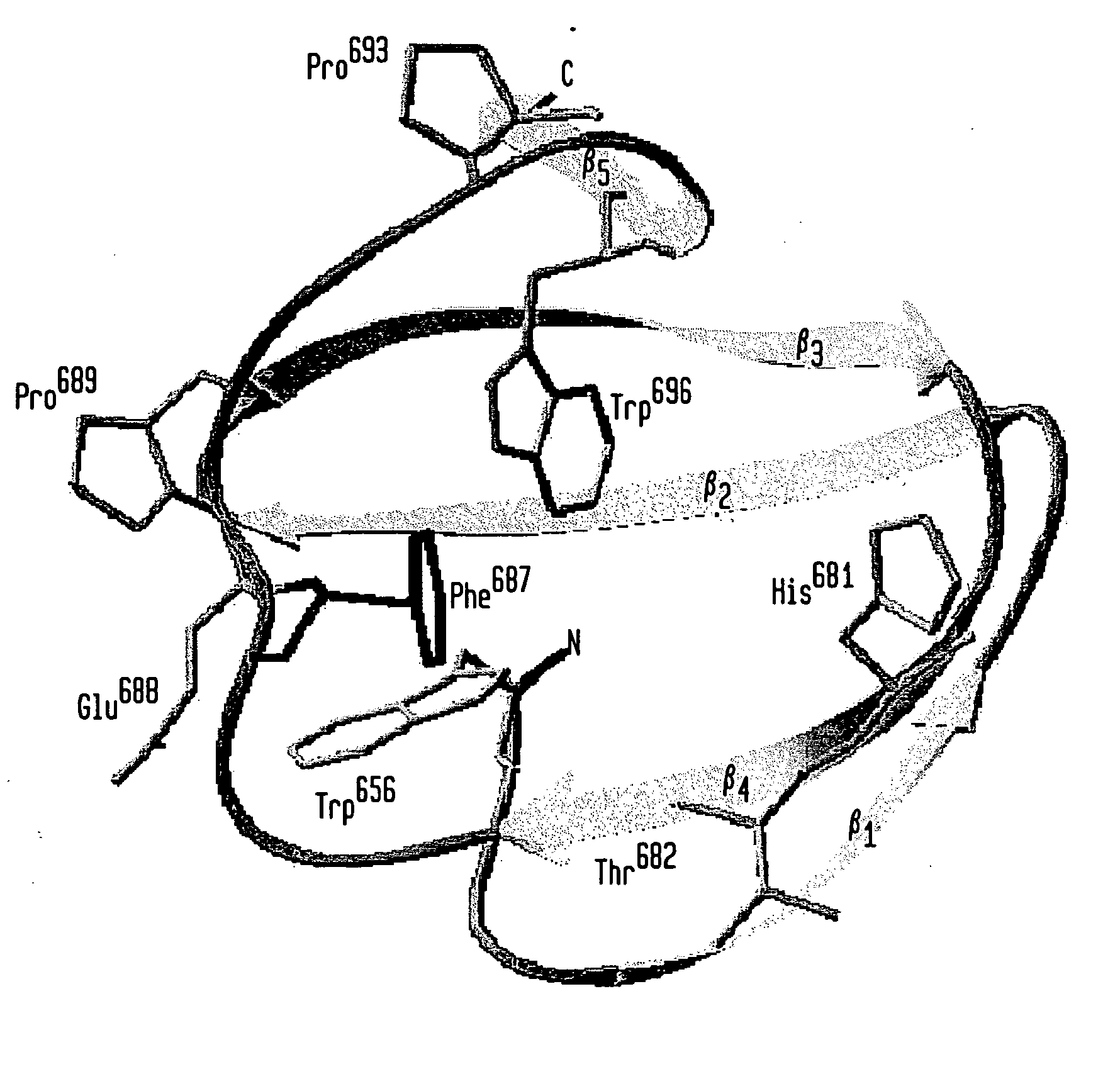 Modified chitin-binding domain and use thereof