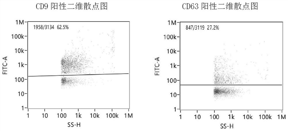 High-expression NAMPT protein-containing exosome and preparation method and application thereof