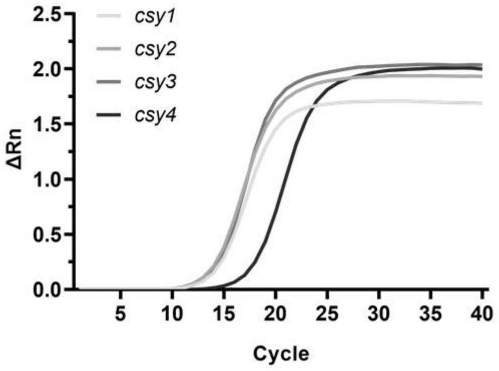 Gene expression regulation system and application thereof