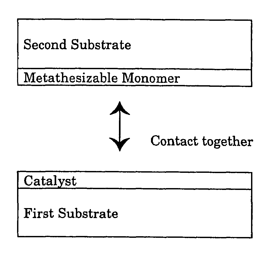 Contact metathesis polymerization