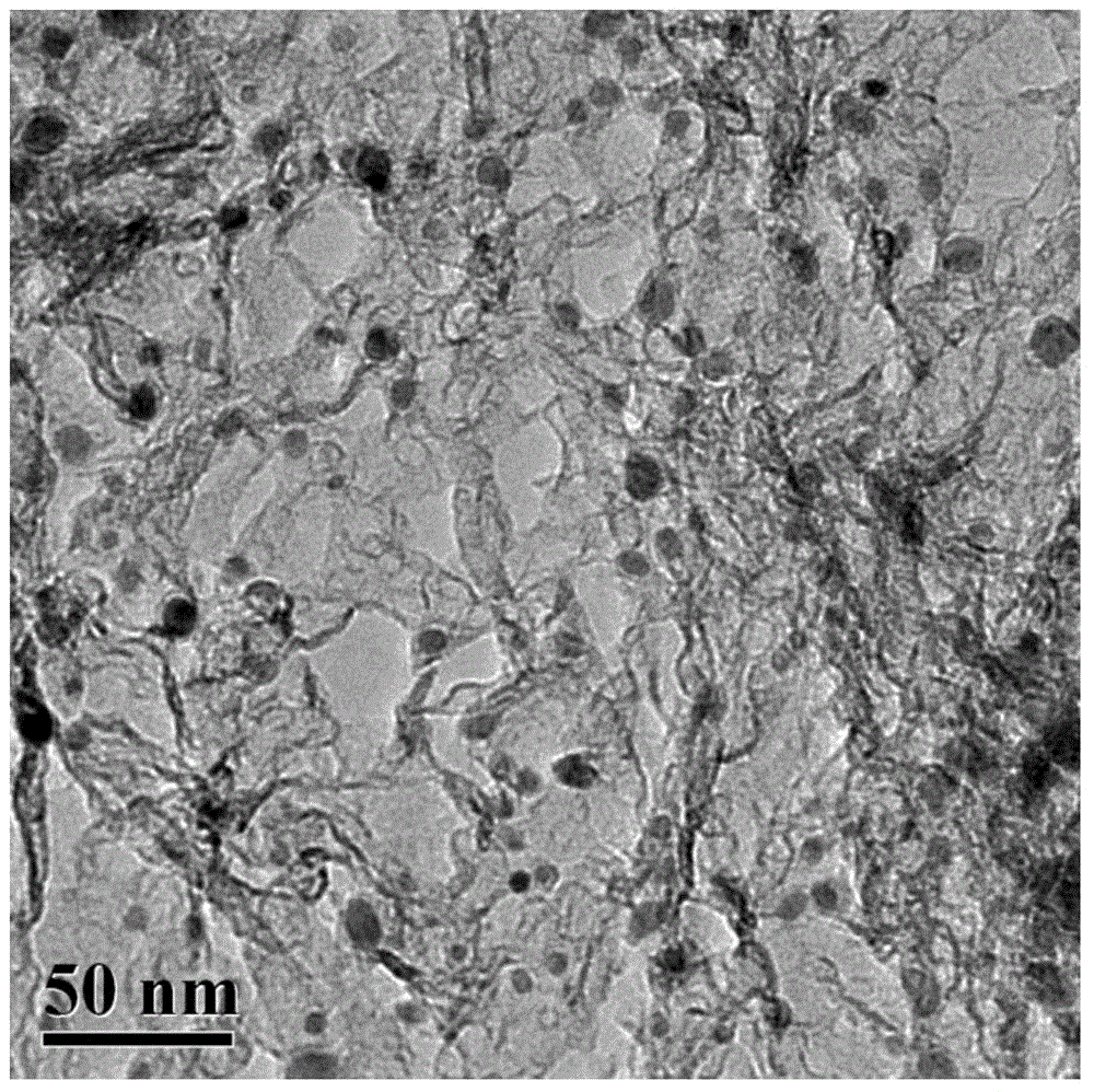 Nitrogen-doped graphitization carbon encapsulation iron nanoparticle preparation method