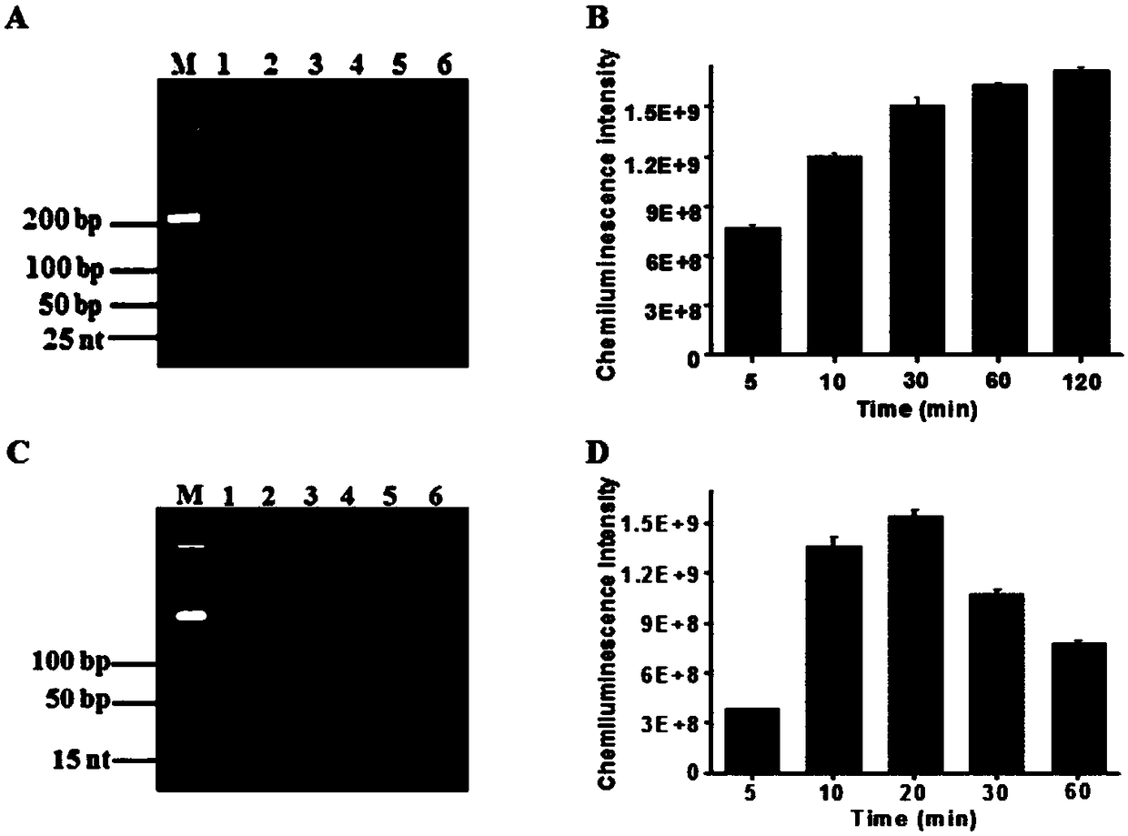 Method for detecting HTLV-II DNA based on enzymatic catalysis controllable self-assembly bio-barcode