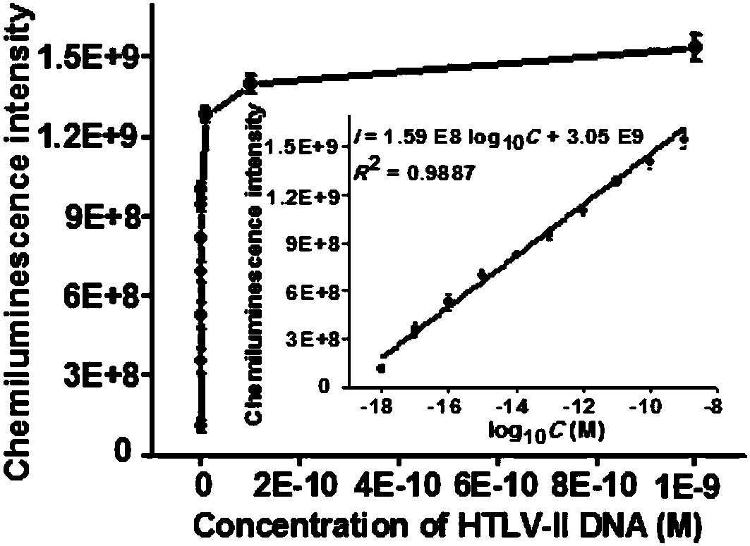 Method for detecting HTLV-II DNA based on enzymatic catalysis controllable self-assembly bio-barcode