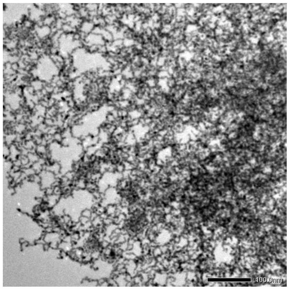 Copper-based catalyst with nanowire network structure, preparation method and application thereof